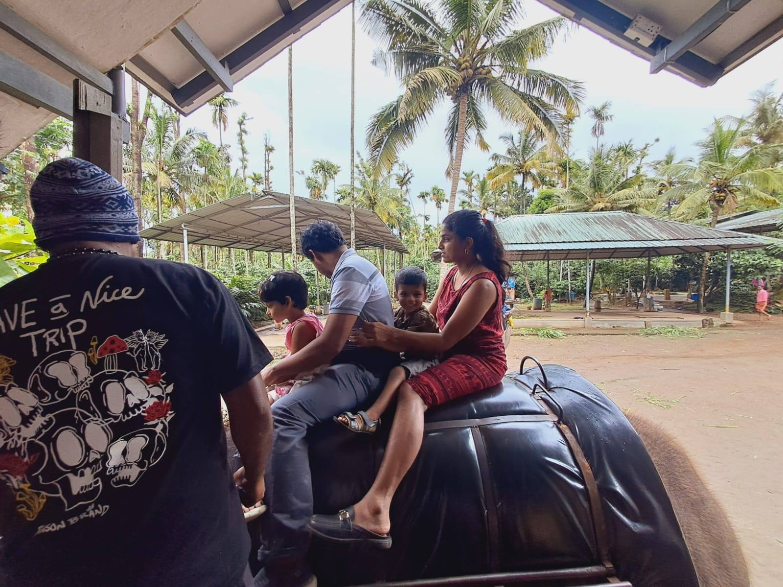 Kerala Trip